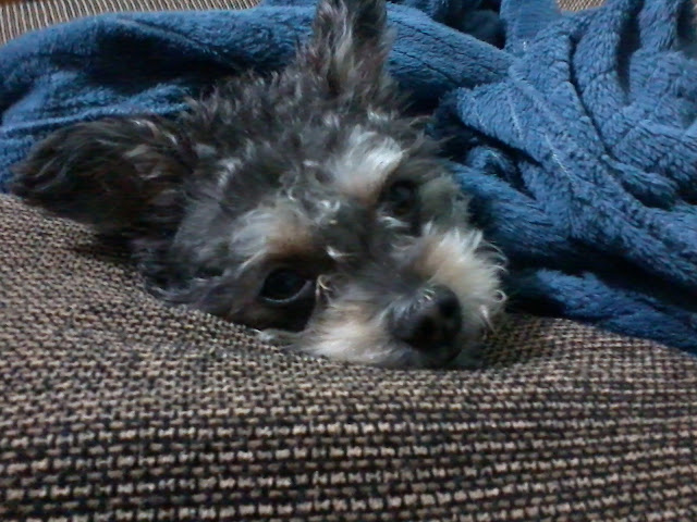 Two Years Since Sacha Left Us… It Still&nbsp;Hurts