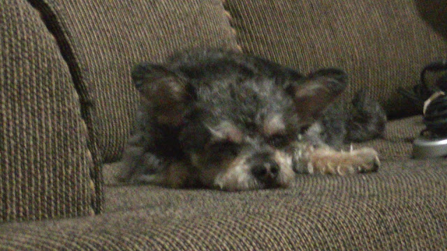 About That MMPRFanFilm&nbsp;Thing?