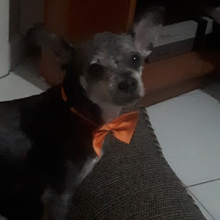 Going Forward… And Failing&nbsp;Miserably