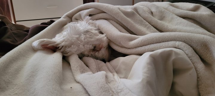 No, I Am NOT On Blue&nbsp;Sky…