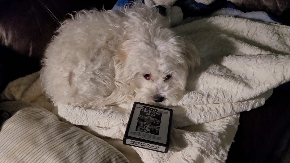 THE BITE COMMENTARY #16 – One Year&nbsp;Later